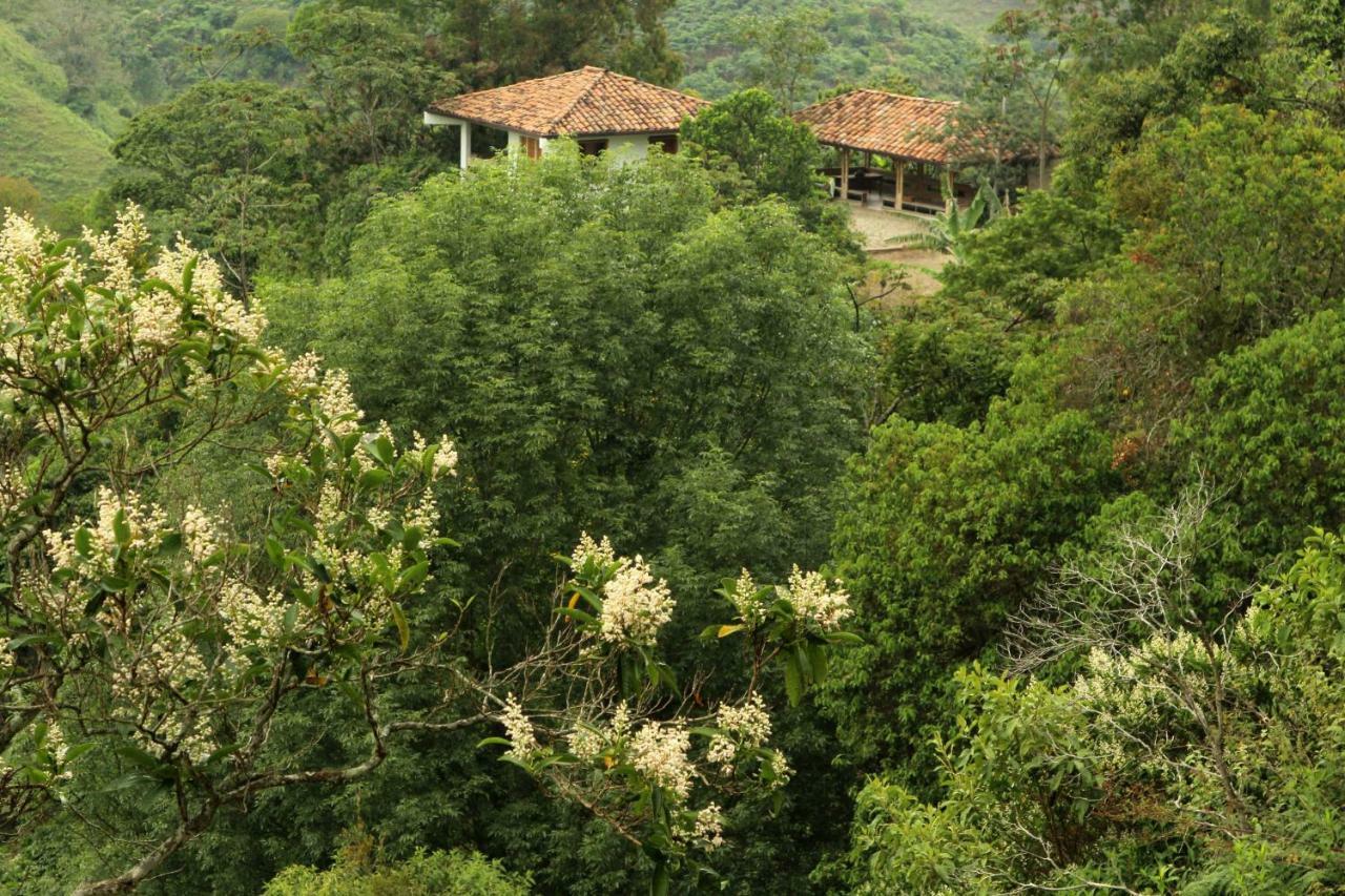 Eco Hotel El Columpio Salento Exterior photo